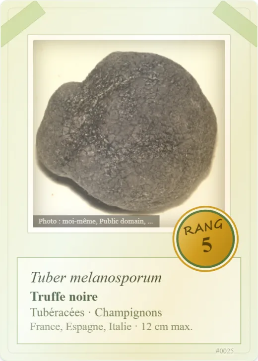 Carte « Truffe noire », rang 5